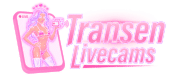 Transenlivecams.net